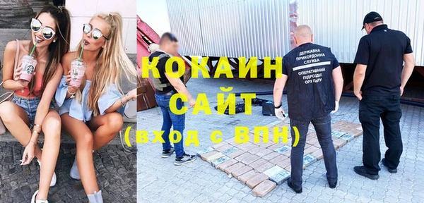 крисы Вязники