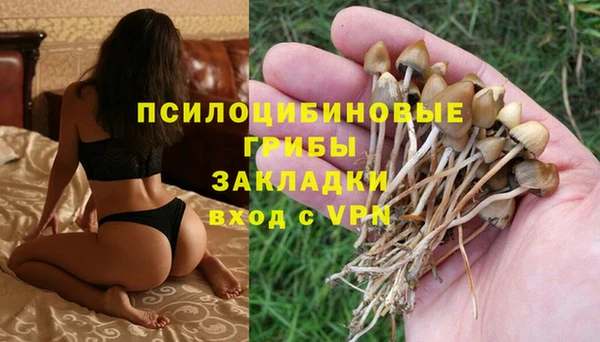 крисы Вязники