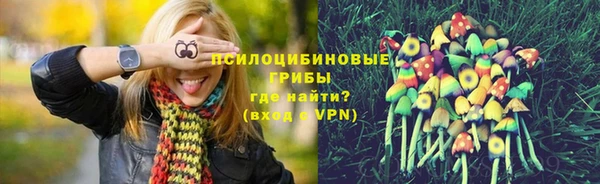 крисы Вязники