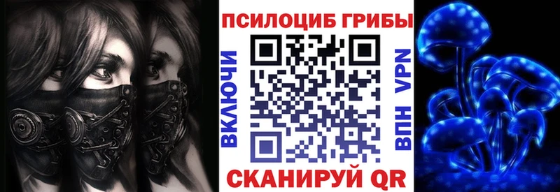 Купить закладки  Комсомольск-на-Амуре  Галлюциногенные грибы GOLDEN TEACHER 